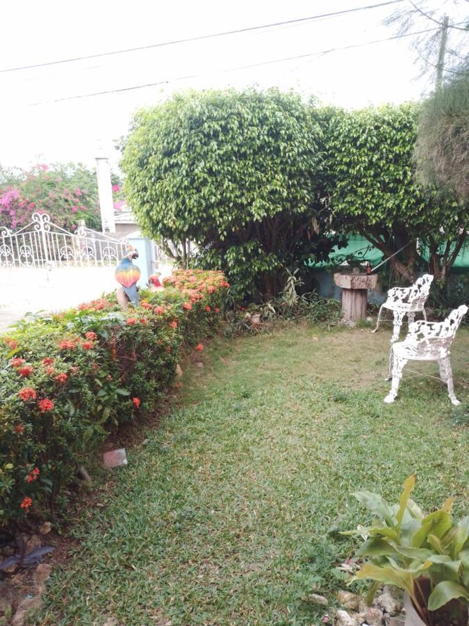 Tina'S Guest House Ocho Rios Esterno foto